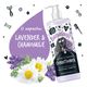 Bugalugs Lavender & Chamomile Conditioner 500ml - regenerująca odżywka dla psa, lawenda i rumianek