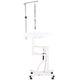 Blovi Luce Air Lift Led Grooming Table - stół groomerski z podświetlanym i obrotowym blatem 60cm, podnośnik pneumatyczny