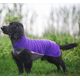 Jumppa Pomppa Violet - polar dla psa, fioletowy