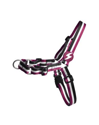 Dashi Stripes Purple & Black Front Harness - szelki norweskie dla psa, no-pull, paski fioletowo-czarne