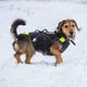 Julius-K9 Multifunctional Vest Neon - kamizelka do pływania da psa, rehabilitacyjna