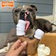 Nylabone Extreme Chew Marshmallow Stick - twardy gryzak dla psa, pianki marshmallow na patyku o zapachu pianki z masłem orzechowym