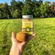 Kiwi Walker Snacks Kiwi 40g - 100% kiwi, liofilizowane, naturalne przysmaki dla psa i kota