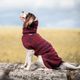 Woolie Pomppa Maroon - sweter z wełną dla psa, bordowy