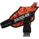 Julius-K9 Power & More Harness Pixeljuice - szelki dla psa z adaptacyjnym pierścieniem do smyczy, pomarańczowe piksele