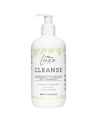 Groom Professional Luxe Cleanse Shampoo - oczyszczający szampon dla psa i kota, o cytrusowym zapachu, koncentrat 1:30