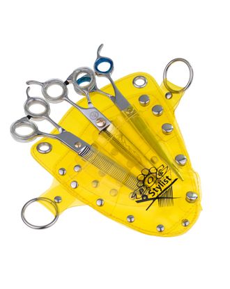 P&W Transparent Tool Case - kabura na nożyczki i akcesoria groomerskie
