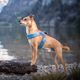 Coralpina Powermix Pink Melange Harness - lekkie szelki dla małego i średniego psa, różowe