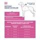Max&Molly GOTCHA! Smart ID Matrix Pink Collar - obroża z zawieszką smart Tag dla psa, odblaskowe przeszycia
