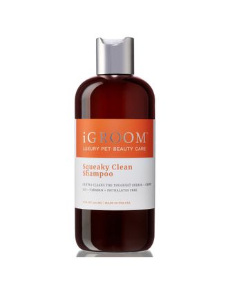 iGroom Squeaky Clean Shampoo - oczyszczający szampon do wrażliwej skóry psa i kota, koncentrat 1:16 - 473ml