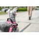 Julius K9 IDC Powair Harness Pink - lekkie i oddychające szelki dla psa, różowe