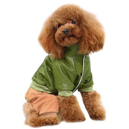 Dobaz zielona, skórzana kurtka dla psa + spodnie sztruksowe