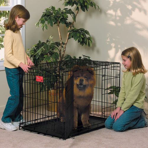 Life stages dog crate 1636dd sales