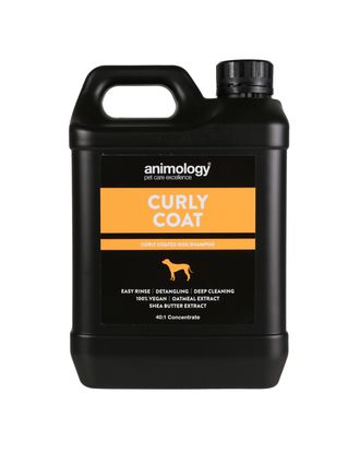 Animology Curly Coat Shampoo - szampon do kręconej sierści psa, ułatwiający rozczesywanie - 2,5l