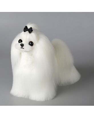 Mr. Jiang Maltese Full Body Hair - wymienna sierść do manekina groomerskiego Small Model Dog, maltańczyk