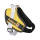 Julius-K9 Paw Patrol Dog Harness Rubble - szelki dla psa, Psi Patrol