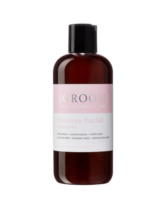 iGroom Tearless Facial Shampoo - delikatny szampon do pyska psa i kota, nie powoduje łzawienia, koncentrat 1:8 - 473ml