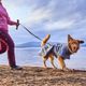 Hurtta Weekend Warrior Standard Leash II 180x2cm - smycz spacerowa dla psa