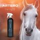 Artero Angel Shampoo For Gray And White Horses 1L - szampon dla siwych i jasnych koni z fioletowymi pigmentami