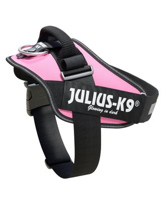 Julius-K9 IDC Powerharness Pink