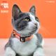 Dashi La Casa De Papel Jarana Cat Collar - obroża dla kota, motyw z serialu Dom z Papieru, beżowa