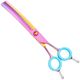 P&W ButterFly Curved Thinning 7" - profesjonalne degażówki groomerskie, gięte 54 ząbki