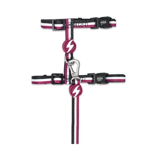 Dashi Stripes Purple & Black Cat Harness + Leash - szelki i smycz dla kota, zestaw, fioletowo-czarne paski