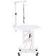 Blovi Luce Air Lift Led Grooming Table - stół groomerski z podświetlanym i obrotowym blatem 70cm, podnośnik pneumatyczny
