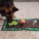 Nina Ottosson Activity Matz Garden Game 56x36cm - sensoryczna mata węchowa dla psa, ogród