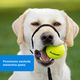 PetSafe Easy Walk Headcollar Black - kantar dla psa, obroża uzdowa i smycz