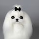 Mr. Jiang Maltese Full Body Hair - wymienna sierść do manekina groomerskiego Small Model Dog, maltańczyk