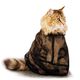 Show Tech Cat Bag - siatka do kąpieli kota, torba 35x50cm