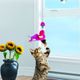 KONG Connects Window Teaser - wędka dla kota, z przyssawką, ptaszek z piórkami