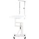 Blovi Luce Air Lift Led Grooming Table - stół groomerski z podświetlanym i obrotowym blatem 70cm, podnośnik pneumatyczny