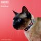 Dashi Classy Betty Cat Collar - obroża dla kota, wzór Betty Boop, czarna
