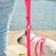 Dashi Colorflex Leash Pink 120cm - miejska, wodoodporna smycz dla psa, różowa