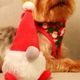 Dashi Xmas Plush Gnome 15cm - świąteczna zabawka dla psa, pluszowy skrzat z piszczałką