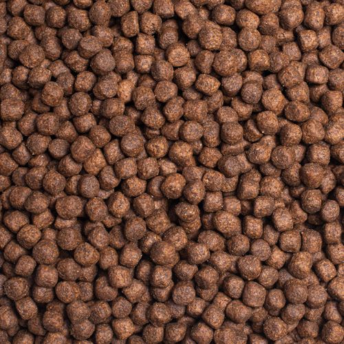 Simpsons premium sensitive adult lamb & potato outlet