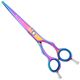 Geib Entree Blue Titan Safety Scissors 6,5" - wysokiej jakości nożyczki bezpieczne z jednostronnym mikroszlifem i tytanową powłoką