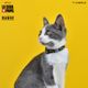 Dashi La Casa De Papel Golden Cat Collar - obroża dla kota, motyw z serialu Dom z Papieru, czarna