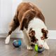 PetSafe Ricochet Electronic Dog Toy - interaktywna zabawka dla psa, piszczące kulki