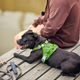 Hurtta Weekend Warrior Harness II ECO Parsley - szelki dla aktywnych psów