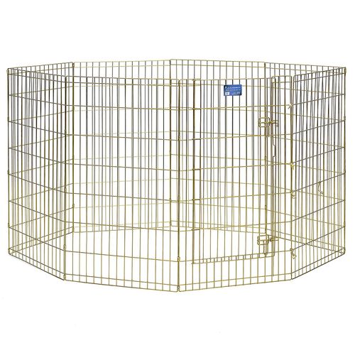 Gold zinc exercise pen hot sale