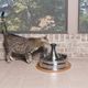 PetSafe Drinkwell 360 Stainless Steel Pet Fountain 3,8L - duża fontanna dla kota i psa, ze stali nierdzewnej, 5 strumieni