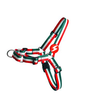 Dashi Stripes Green & Red Front Harness - szelki norweskie dla psa, no-pull, paski zielono-czerwone