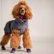 Hurtta Weekend Warrior Boots Eggplant 2szt. - ochronne buty dla psa, wodoodporne