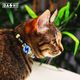 Dashi Nebula Cat Collar - obroża dla kota, wzór niebiesko-żółta abstrakcja