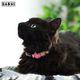 Dashi Donut Cat Collar - obroża dla kota, kolorowa, wzór pączek