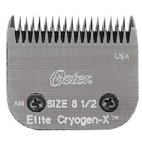 5895fab990d17daa54fba18a211d20e1