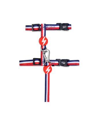 Dashi Stripes Red & Blue Cat Harness + Leash - szelki i smycz dla kota, zestaw, czerwono-niebieskie paski